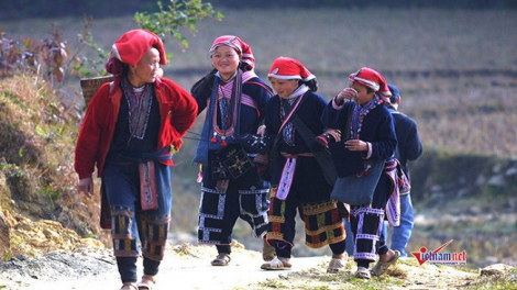 Lầy tzình khzáng ca páo dung chủ nhật 21.11.2021