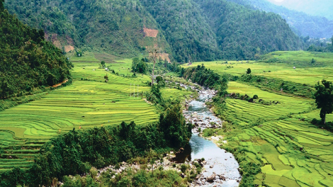 Phai paz nhây phiến