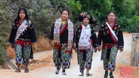 Lầy tzình páo dung thứ 3 hoi 8/3/2022