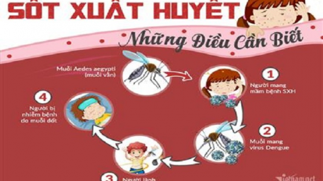 Càn bùng tangz pảnh sốt xuất huyết can  can WHO nhây chaoz búa