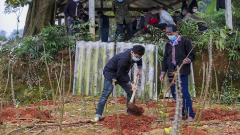 Lầy tzình páo dung chủ nhật hoi 27/2/2022