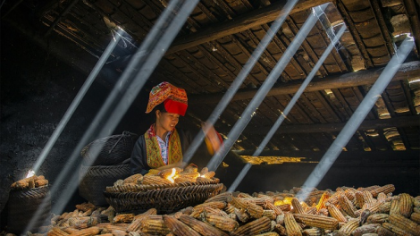 Lầy tzình phát sinh ìu miền vả thứ 7 hnoi 16/7/2022