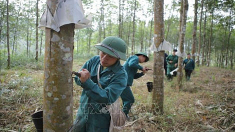 Lầy tzình phát sinh ìu miền vả thứ 5 hnoi 05.5.2022