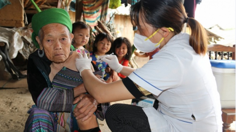 Phai paz nhây phiến