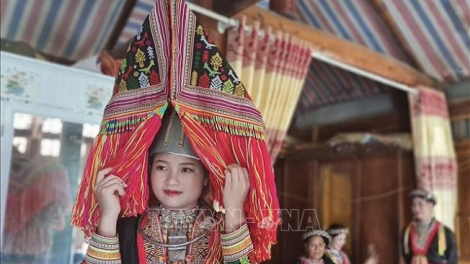 Phai paz nhây phiến