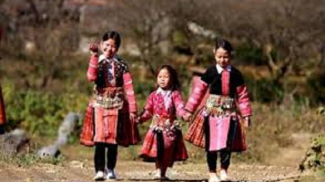 Coz phính miền Việt Nam nhây lầy tzình páo dung thứ 6 hoi 4.5.2018