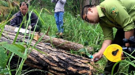Lâm Đồng rơkâo wai lăng gơnam ​mơng kyâo hăng pơgăn bruă phă glai