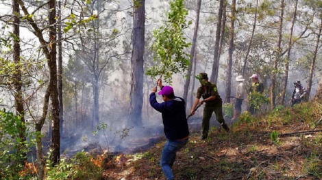 Lâm Đồng pơtrut kơtang bruă pơgang apui [ong glai bơyan phang