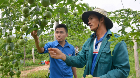 Daklak: Mơnuih apăn bruă hlăk ai bơwih [ong rơgơi pơ kual lo\n }ư\ Êlang