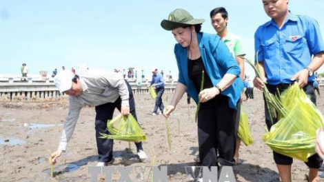 Yă Nguyễn Thị Kim Ngân jơnum pla kyâo Việt Nam [ơi Cà Mau