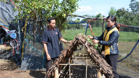 Mơnuih đăo Kho#p Daklak hur har pran jua ]ơkă Noel