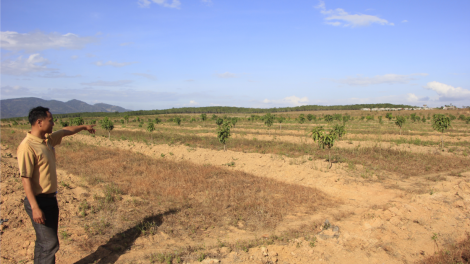 Anom bơwih [ong kơnong kơ đing nao bôh tu\ yua – Tơlơi lông kơ bruă pơlar dlai klô [ơi Gialai