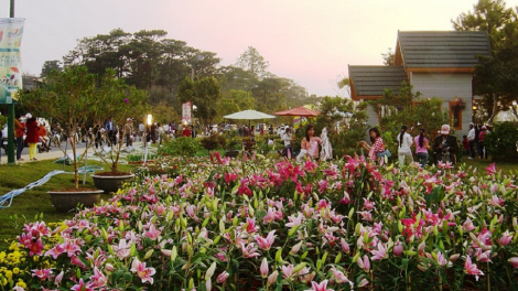 Bruă ngă hmua pơgôp hrom pơđ^ kyar tuai ]uă ngui [ơi Đà Lạt-Lâm Đồng