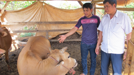 Daklak: Pran kơtang mơ\ng hlăk ai [ơi să kual ataih Ea Wy