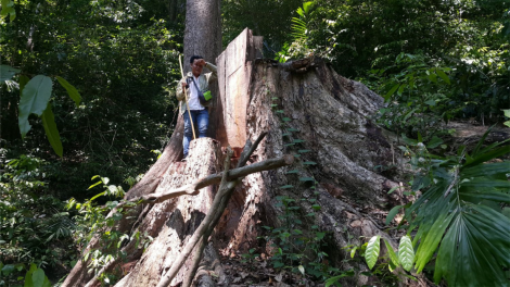 Brak brai abih kông nga\n yôm tu] rơnu] mơng dlai tha }ư\ Siăng