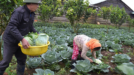 Kontum brơi ]an prăk pơđ^ kyar bơwih [ong khul gru\p