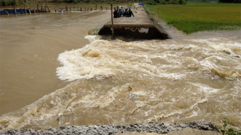 Daklak: Pơ]ah ako# kli Quảng Điền, kual hmua pơdai 1000 ektar răm rai prong