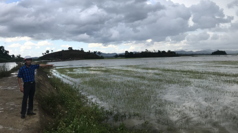 Daklak: Ta` djru pơtlaih brơi pơdai tơdơi kơ ako# kli Quảng Điền pơ]ah