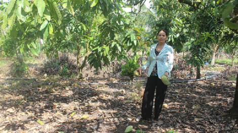 Dak Nông hơdôm rơtuh tơn boh pơ-ô̆ yuan tuh lui ƀu hơmâo pô blơi