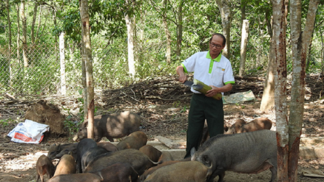 Hing ang na nao blah dưi ƀơi Đak Tô-Tân Cảnh