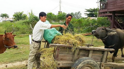 Bơta niam bơh broă lơh “Dùl nă đảng viên dong kờl dùl hìu rơ[ah” tàm tiah sar lơgar ngài Ia Piar