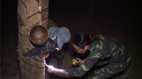 Bơ\t bơtàu nùs nhơm rcăng lài sền gàr dà lơgar tàm Tây Nguyên: Bơta àng Binh đoàn 15
