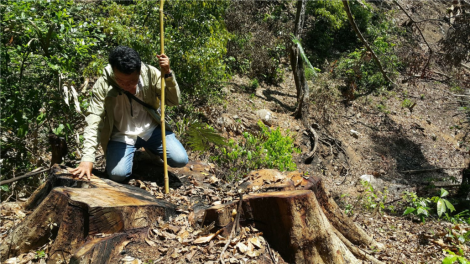 Koh kơl jơh “phan kuơ” du\t ndơl bơh brê kròng Tây Nguyên dê