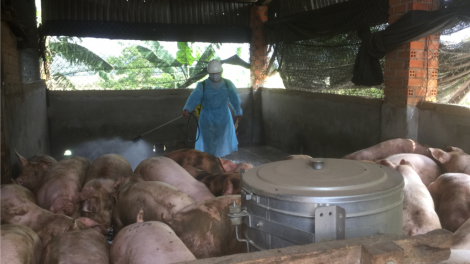 Dak Lak: Cư M’gar lơh ngan kơryan kòp sồt mbùng gơ tă nđias