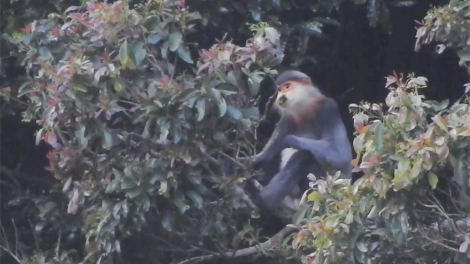 Càr Kon Tum go\ hoa chà vá jơng jù geh kuơ