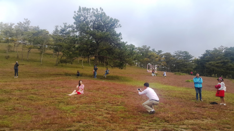 Trồ mìu, dơ\ lơh chờ nhơt phồng Dà Làc gam tus gal cau nac