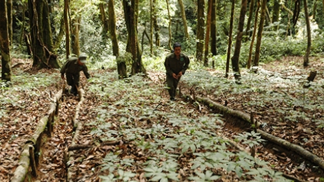 Càr Kon Tum ai broă tơnguh bơtàu tòm lơh sơnơm gơs gah lơh sa tòm