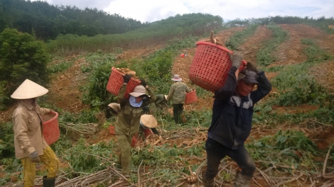 Kàl tơnhào bùm blàng pa tàm càr Kon Tum bal mờ nùs nhơm ờ su\k ơm