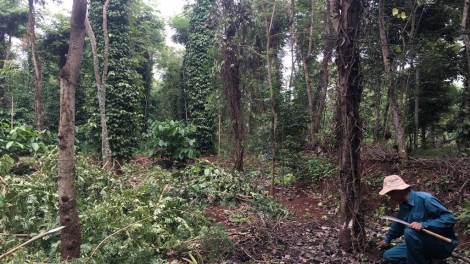 Daklak: Chơt roh ơnàng tiah tam tiêu tàm Cư\ Kui` tài bơh gơ ngơr bam dà