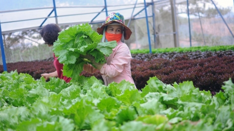 Chồl pràn broă lơh sa bal mờ làng bol lơh sa suơn sre