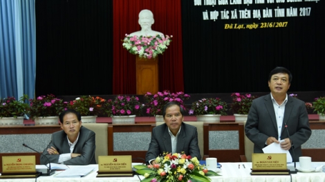 Kuang đơng lam bồ càr Lâm Đồng cri bơyai mờ mpồl lơh sa ka\ bro