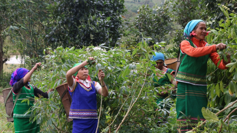 Nha bùm blàng - 7 bơta biap sa bơkah ngan kòn cau Sêdang dê