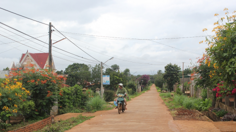 Dak Lak: Cau lơh broa\ sa kơnhoàl Ea H’ Leo chồl guh bơnga\ la cau tờm tàm bơt bơtàu [òn lơgar pa