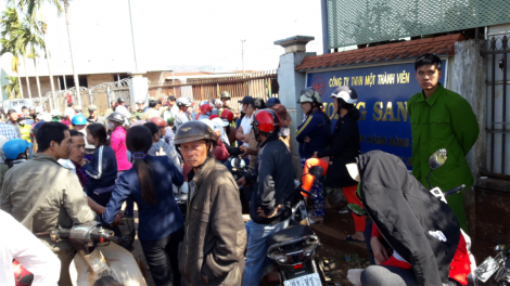 Công ty blơi phan geh lơh bơh broă lơh sa suơn sre tàm càr Gia Lai gơbàn dồs, làng bol wờl să neh jơla