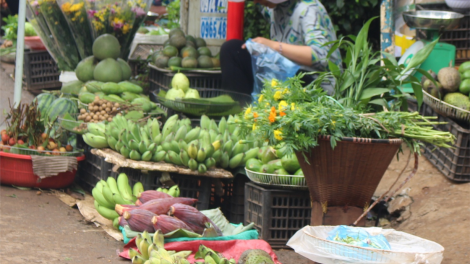 Sơ\ kòn cau Rơđê lòt tus tiah drà