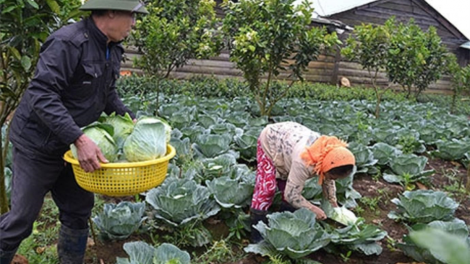 Kon Tum ai càn priă bơtàu tơnguh lơh sa mpồl cau bal