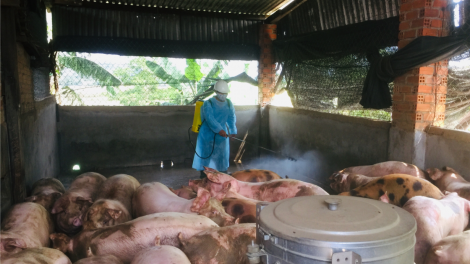 Dak Lak lơh ngan kơryan kòp jê ndul gơ jroh sur châu Phi