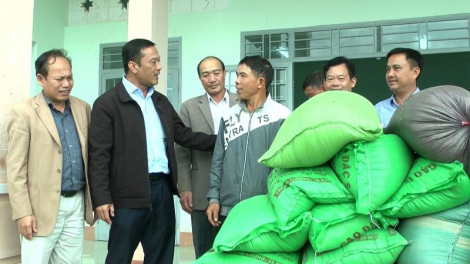 Kuang bàng đơng lam UBND càr Dak Lak còp mờ pà phan tàm [òn ơm kis pa kơnhoàl Ea Kar