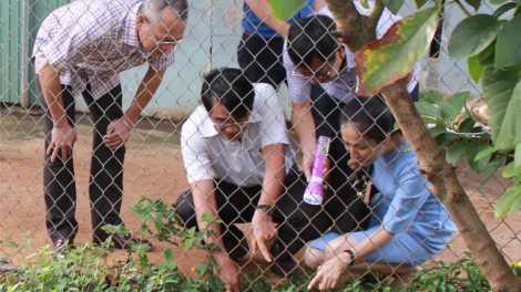 Khà cau bơtờp kòp sốt xuất huyết tàm Dăk Lăk tus 50% kờp jơh khà cau kòp bơh jơh gùt ù tiah Tây Nguyên dê