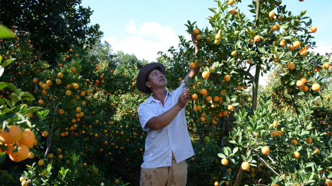 Dak Lak: Bơkào sa tềp neh mut tàm kàl