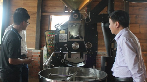 Dăk Nông: Dong kờl 200 tơlak priă ai mpồl lơh sa kă bro in tơnguh uă bơta niam lơh gơlik kơphê