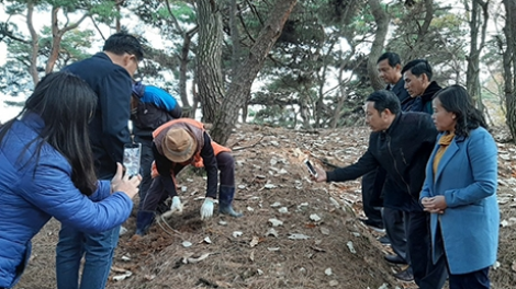 Càr Kon Tum còp mờ lơh broă mờ Hợp tác xã Lơh broă sa sươn sre Hồng Sâm càr Jeonbuk, lơgar Hàn Quốc