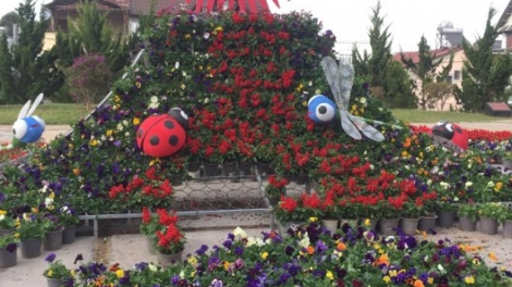 Sơnđờm mu\t lơh Festival Bơkàu Dà Làc nam 2019