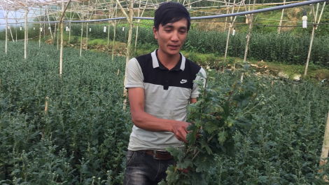 Lâm Đồng: Cau tam bơkào gơtìp hoàc huơr tài kòp chơ\t uă