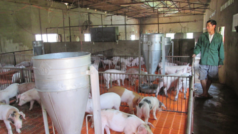 Dak Lak: Sền gròi nền nòn broă ròng wơl sur tu\ ờ hềt jơh kòp jê ndul gơ jroh sur châu Phi