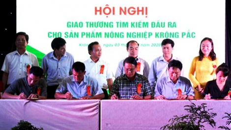 Kơnhòal Krông Păc, càr Dak Lak jòi drà kă bro ai phan lơh gơs bơh suơn sre in